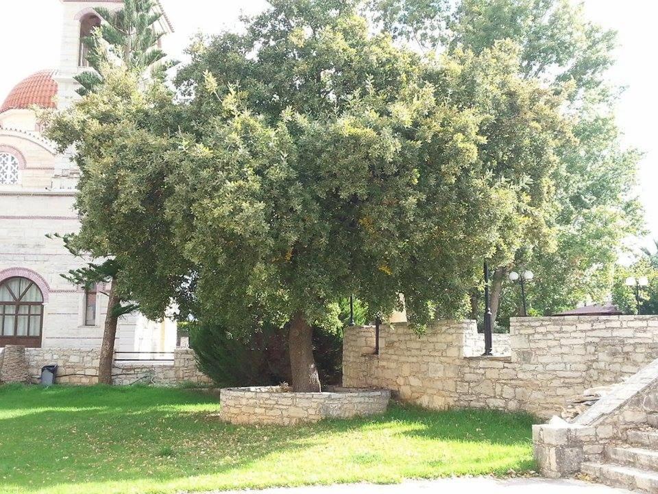 Willa Lale'S House Garazo Zewnętrze zdjęcie